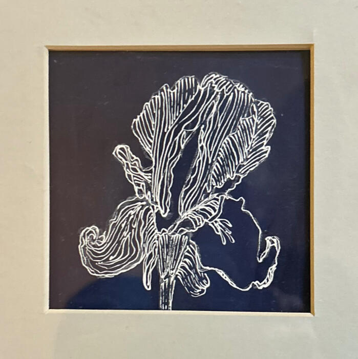 &#39;An Iris&#39; (3&quot; x 3&quot;)